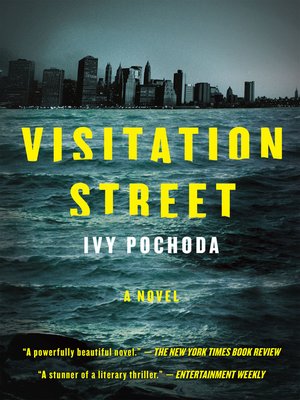 cover image of Visitation Street